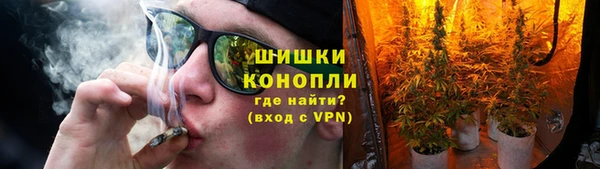 шишки Алексеевка