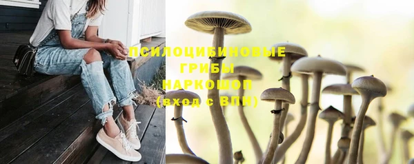 трава Алексин