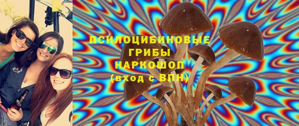 бошки Алзамай