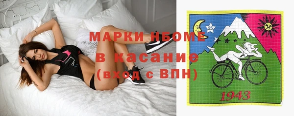 шишки Алексеевка