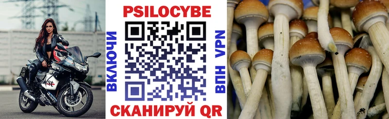 цена   darknet официальный сайт  Галлюциногенные грибы Magic Shrooms  Батайск 